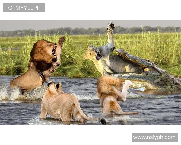 马卡比迎战拜仁慕尼黑强强对决谁能笑到最后